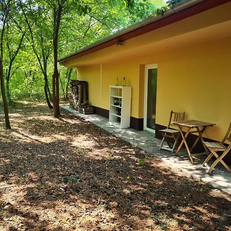 Apartment Varazslakos Tanya Soltvadkert