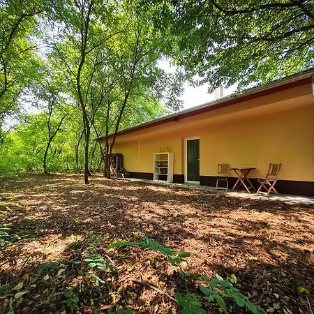 Varazslakos Tanya Apartment