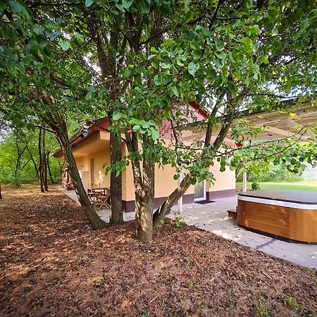 Varazslakos Tanya Soltvadkert