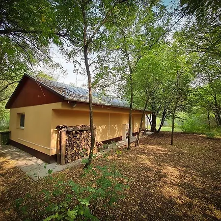 Varazslakos Tanya * Soltvadkert