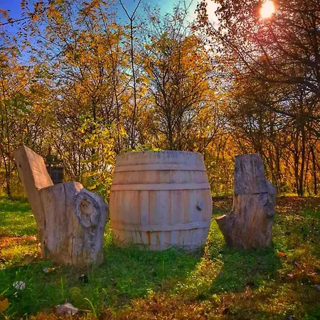 Varazslakos Tanya Apartment *