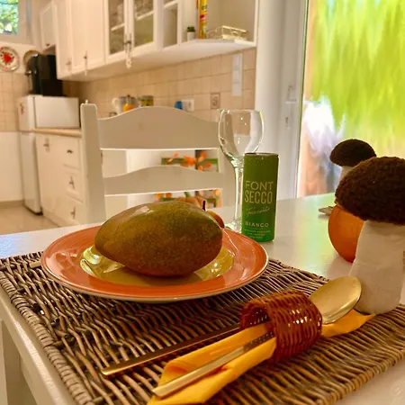 Varazslakos Tanya Soltvadkert