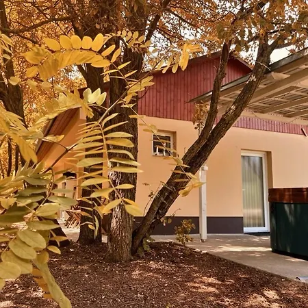 Varazslakos Tanya * Soltvadkert