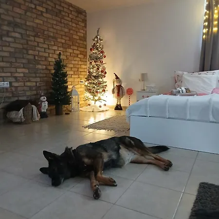 Varazslakos Tanya Διαμέρισμα