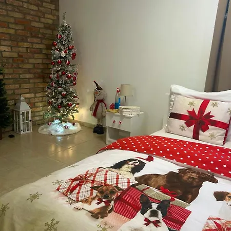 Varazslakos Tanya * Soltvadkert